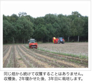 菊芋商品通販キクイモ専門/菊芋普及会